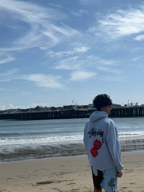 Pranil standing on the beach with the Santa Cruz Beach Boardwalk pier across the water