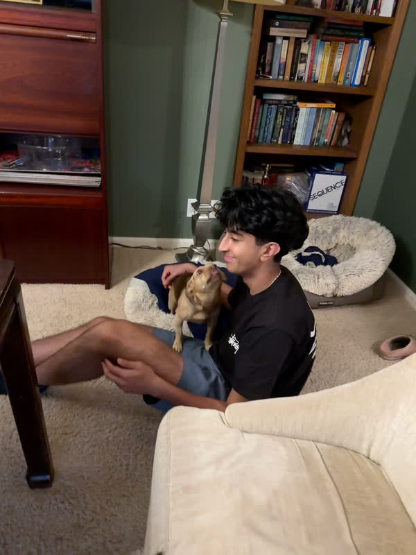 Relaxing at home with a small dog